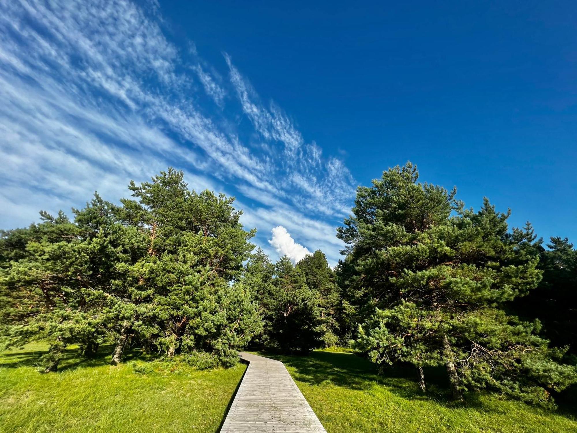 Eco-House Ainazi Villa Eksteriør billede